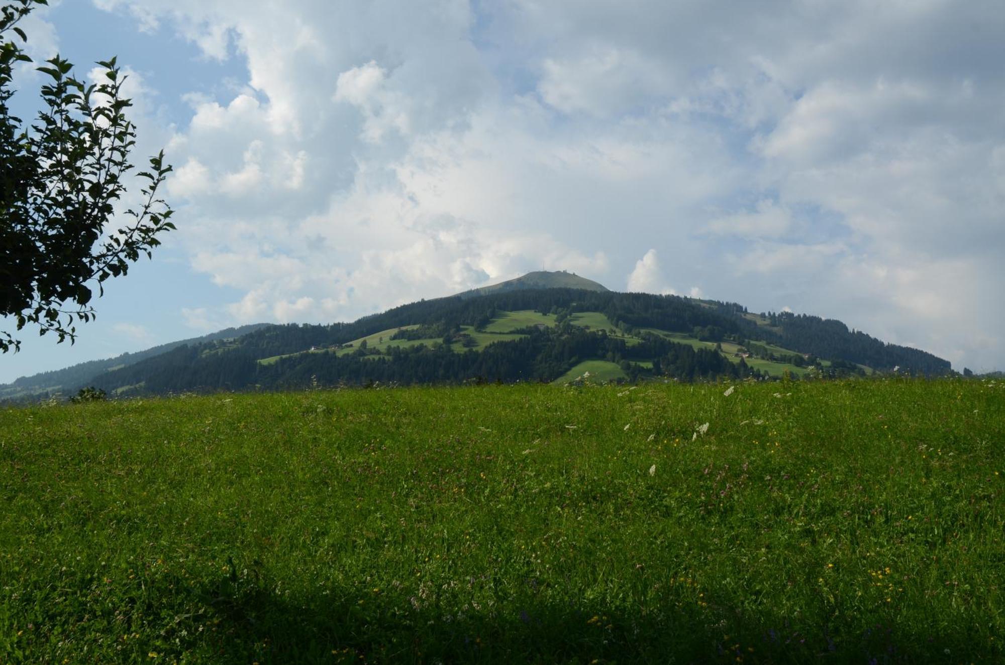 Landhaus Lindner Westendorf Esterno foto